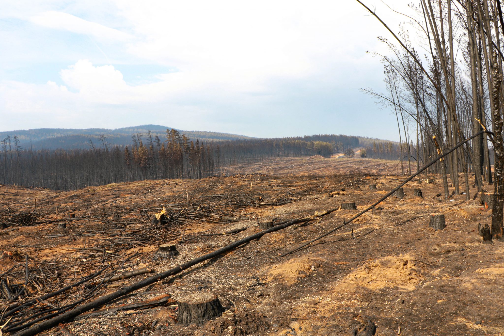 Australia bush fire damage 2020